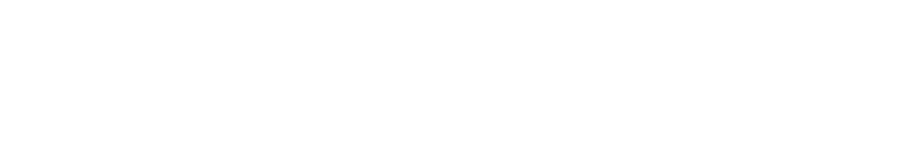 Epistemonikos Foundation